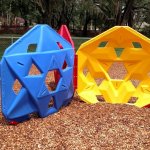 Lakeville Oaks Tortoise Climber