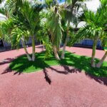 Artificial Turf around landscaping in Brevard County FL