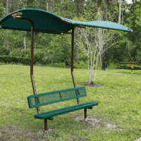 Young Pine bench shade